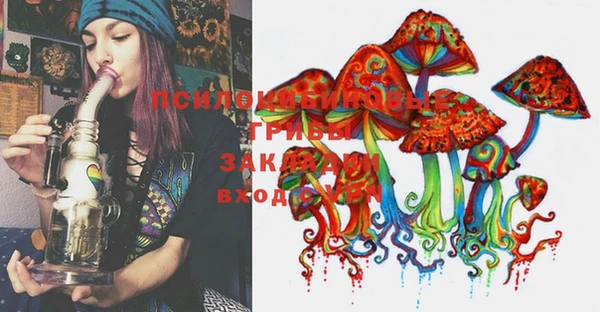 эйфоретик Тихвин