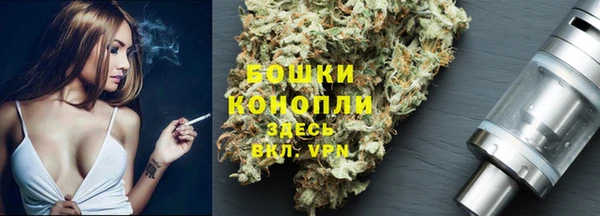 СК Тобольск