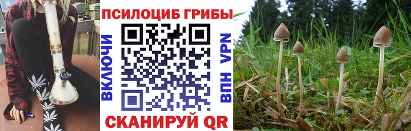 Купить  Слюдянка  Галлюциногенные грибы MAGIC MUSHROOMS 