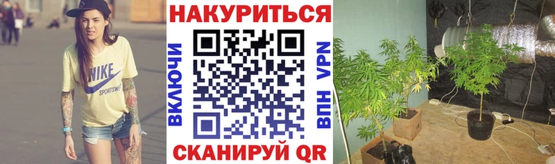 Бошки Шишки AK-47  Купить где  Слюдянка 